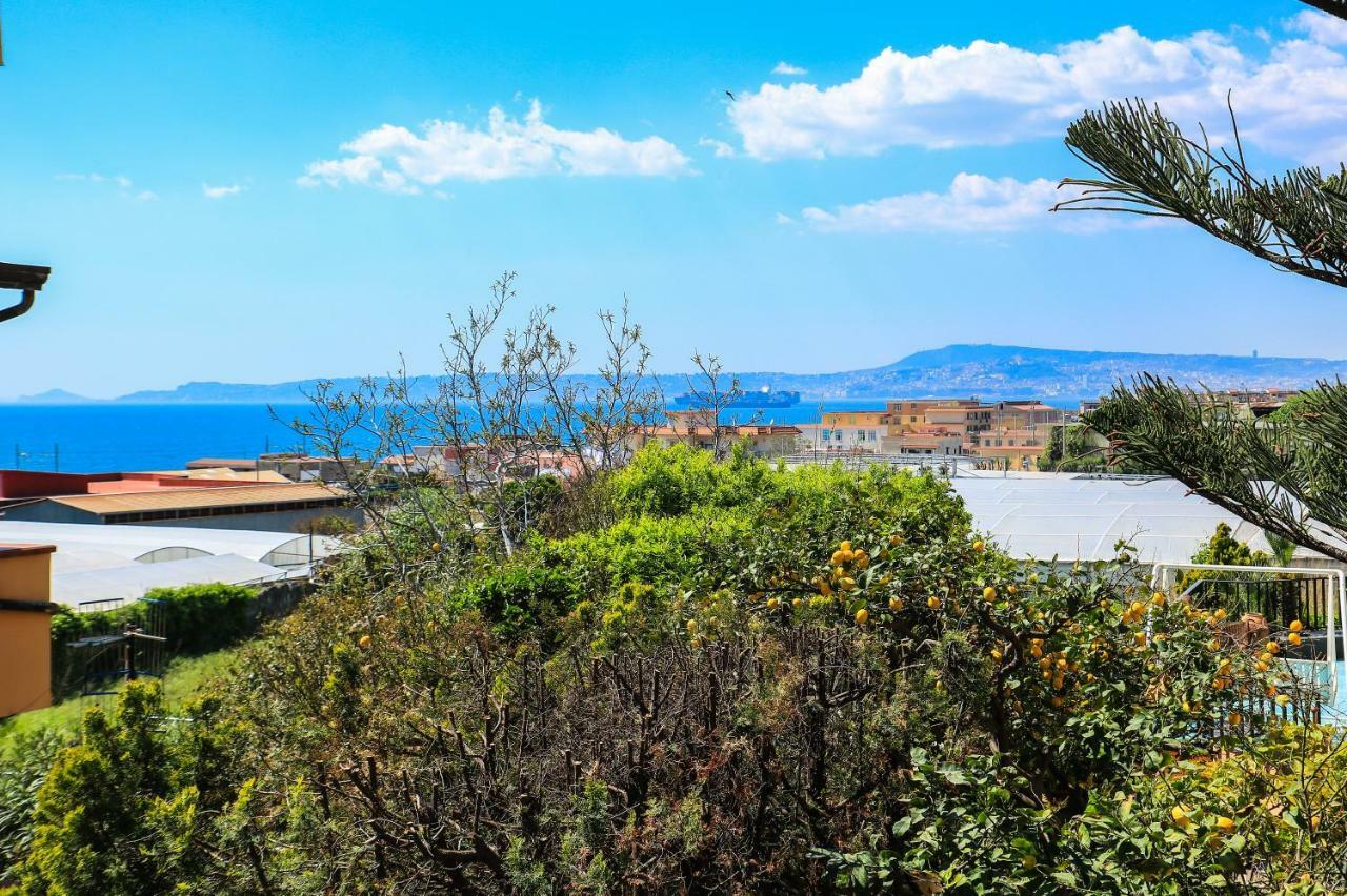 Bed & Breakfast Scognamiglio